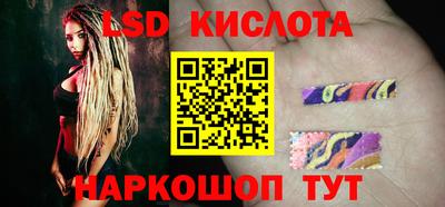 дмт Кингисепп