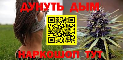 дмт Кингисепп