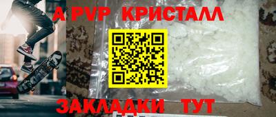 дмт Кингисепп