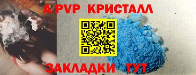 дмт Кингисепп