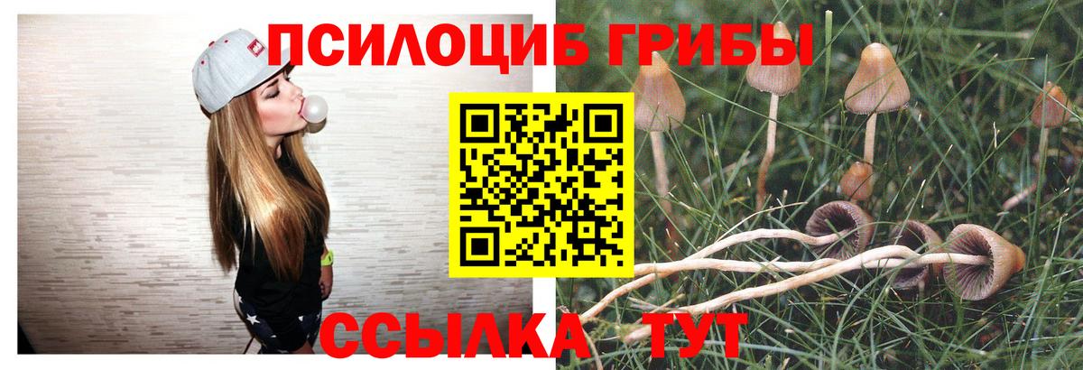 Псилоцибиновые грибы MAGIC MUSHROOMS Красноармейск